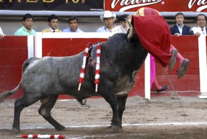 Momento en el que José Tomás es alcanzado por "Navegante".