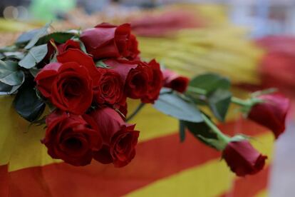 La rosa vermella és la preferida de Sant Jordi. 