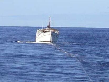 El pesquero <i>Roque Nublo,</i> remolcado por el buque de operaciones especiales <i>Petrel</i>.