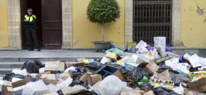 Basura acumulada junto al Ayuntamiento de Jerez.