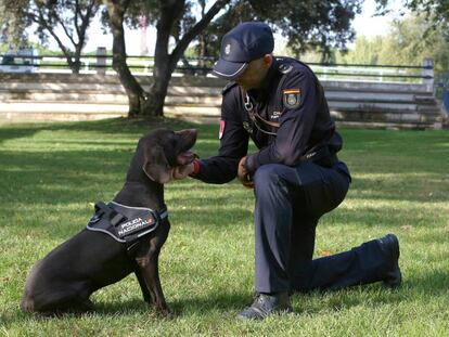 El policía Fernando Espada y su perro Leo, en el Área de Seguridad Ciudadana.