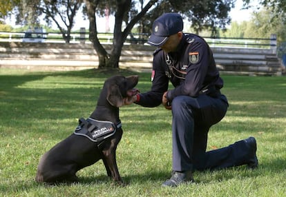 El policía Fernando Espada y su perro Leo, en el Área de Seguridad Ciudadana.