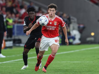 Karim Konaté persigue a Joao Neves en el partido de Champions entre el Salzburgo y el Benfica.