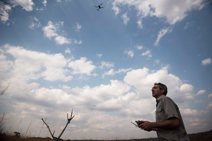 Serge Wich, profesor en Biología en la Universidad John Moores de Liverpool pilotando un dron, en Sabah (Borneo, Malasia).