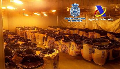 La Policía Nacional ha desarticulado una red de narcotraficantes que introducía cocaína en España.