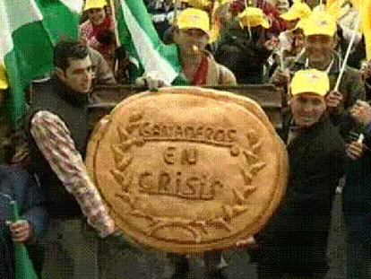El gremio de ganaderos protesta en Madrid y La Coruña por el encarecimiento de los cereales