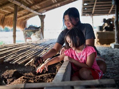 La beneficiaria de un proyecto de medios productivos para superar desastres naturales desarrollado por la AECID en la provincia filipina de Nueva Ecija.