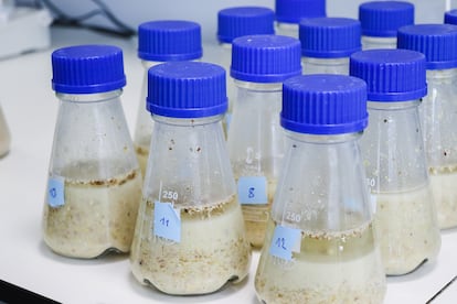 Muestras de residuos agroalimentarios fermentados por un proceso optimizado con IA.