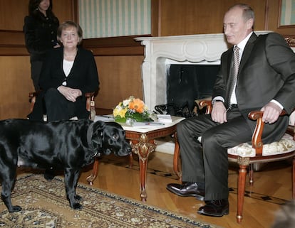 Angela Merkel y Vladimir Putin, en el encuentro en Sochi en 2007 que la excanciller alemana, que tiene miedo a los perros, recoge en sus memorias.