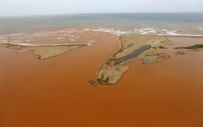 Segundo informações do jornal 'O Estado de S. Paulo', o coordenador nacional do Centro Tamar-ICMBio (responsável pela preservação das tartarugas), Joca Thome, sobrevoou a área no domingo e voltou visivelmente emocionado. "Nem sei o que falar. É terrível; uma calamidade. Parece uma gelatina marrom se esparramando mar adentro."