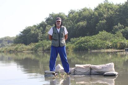 El biólogo Mario Moscatelli, en las aguas contaminadas de las lagunas cariocas.