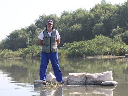 El biólogo Mario Moscatelli, en las aguas contaminadas de las lagunas cariocas.