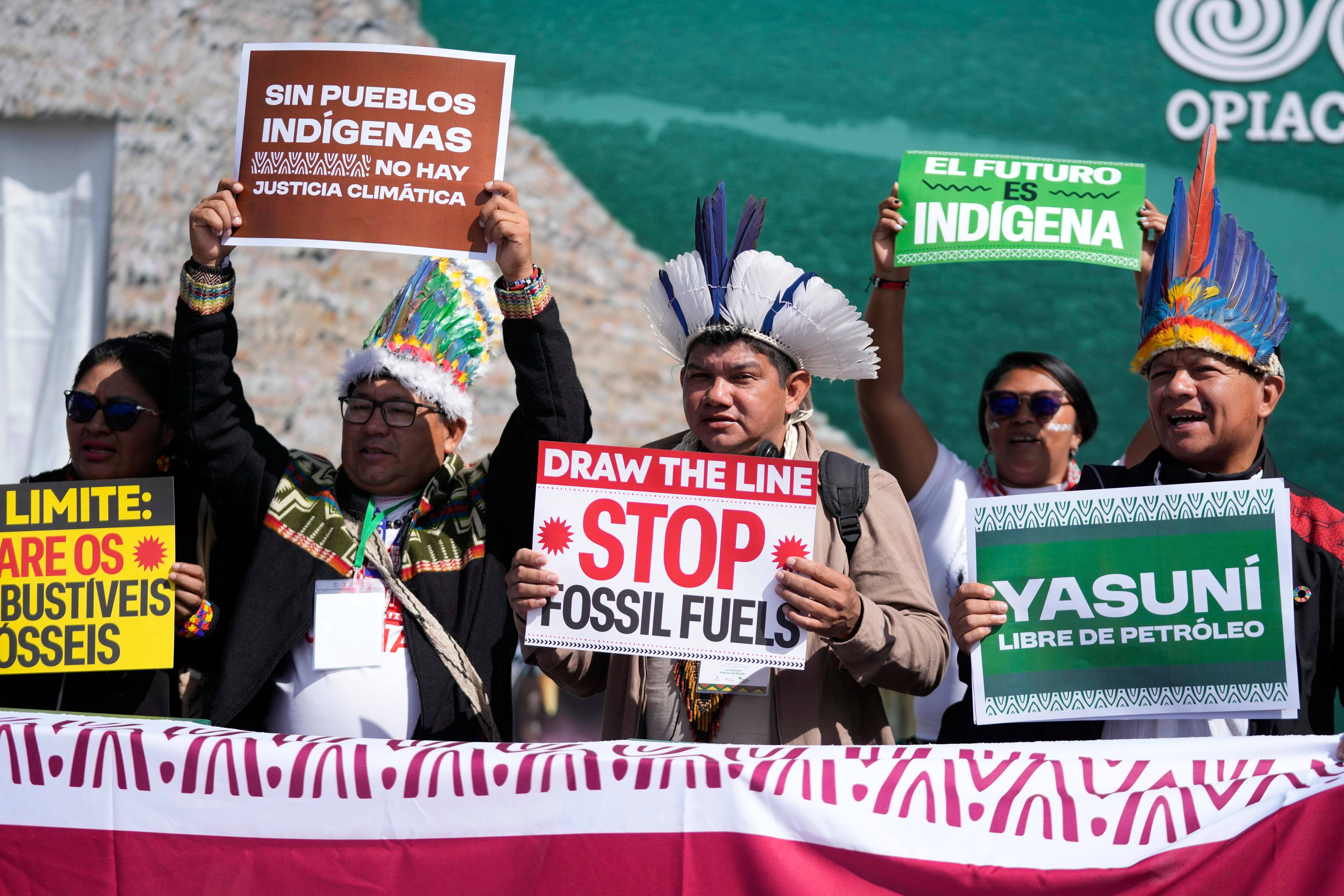 Las urgencias de la Amazonia que convocan a Lula, Petro y Arce en Bogotá