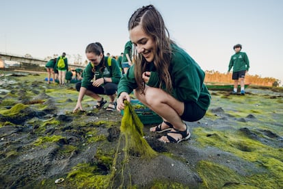 Unas adolescentes marisquean en la ras Baixas, durante la Ruta Quetzal 2024, en una imagen cedida por la expedicin.