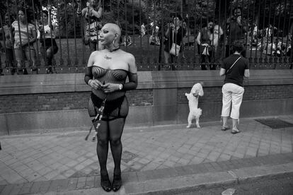 Mujer calva y caniche. Marcha Gay, 2011.
