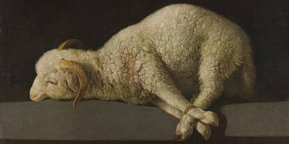 Agnus Dei. Zurbarán. 1635-1640