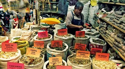 Ciudad de México. Hierbas medicinales en el de Sonora. 
