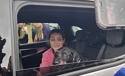 ‘Boro’, el perro desaparecido en Adamuz, vuelve a casa