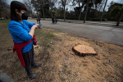 Una mujer toma una foto de un árbol talado, este lunes.