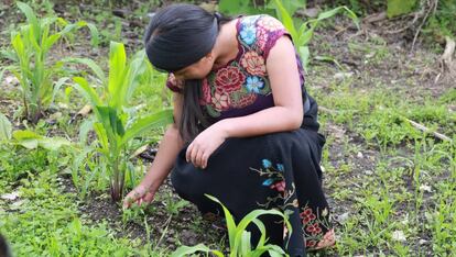 Mujer agricultora en Chiapas, México.