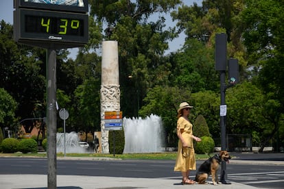 Una mujer pasea a su perro cerca de un termómetro de Sevilla que marca 43 grados, el domingo. 