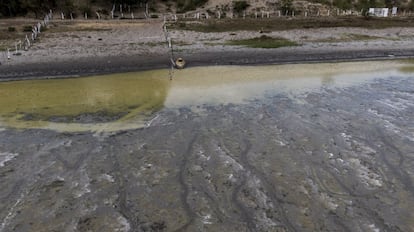 Los vasos lacustres del país han sido de las zonas más afectadas.