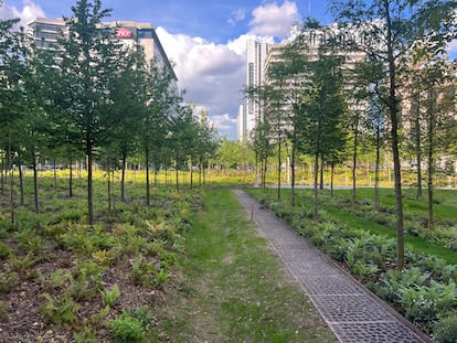 El nuevo bosque urbano de la plaza de Cataluña de París, en espacio antes ocupado por los coches. 