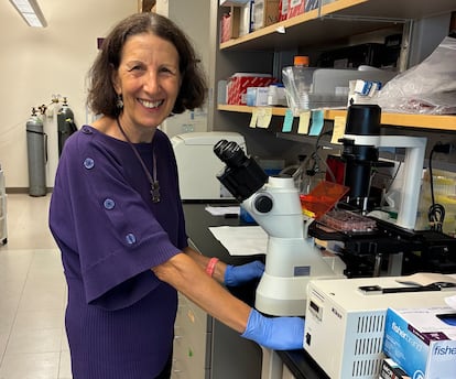 La inmunóloga Mercedes Rincón, en un laboratorio de la Universidad de Colorado (Estados Unidos).