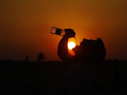 Ola de calor