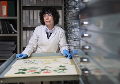 Esther García Guillén, encargada del Archivo Histórico del Jardín Botánico en Madrid.