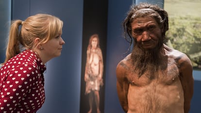 Funcionária do Museu de História Natural de Londres olha para um modelo de homem neandertal, em uma imagem de arquivo.