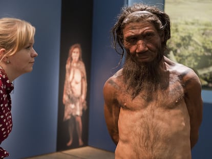 Funcionária do Museu de História Natural de Londres olha para um modelo de homem neandertal, em uma imagem de arquivo.