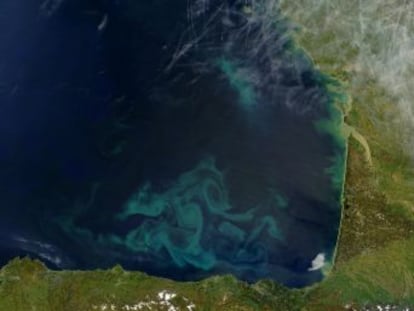 El cambio climático está afectando al fitoplancton marino, lo que altera el espectro de luz solar reflejada