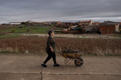 Doña Predes Macías transporta la leña con una carretilla.