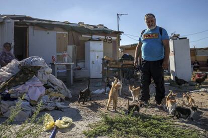 Vasile Antonescu with his cats in the Madrid shanty town of El Gallinero.