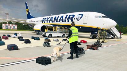 Agentes de seguridad utilizan un perro rastreador para comprobar el equipaje de los pasajeros del avión de Ryanair con matrícula SP-RSM, que transportaba al opositor Roman Protasevich