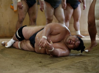 El sumo es una de las tradiciones milenarias del Japón más sacrificadas. En la imagen, el luchador de sumo Kaiho se duele en el suelo durante un entrenamiento.
