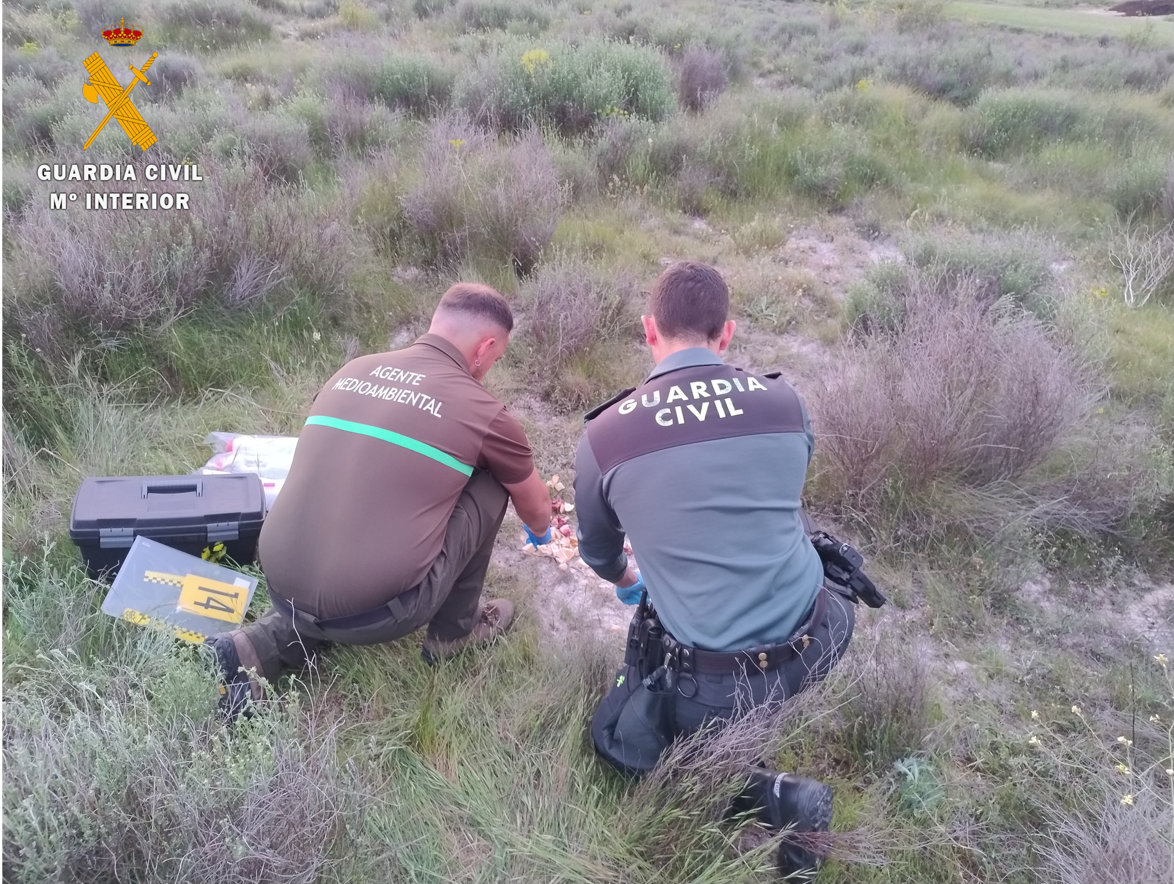 La Guardia Civil investiga el hallazgo de un cadáver calcinado en Oliva