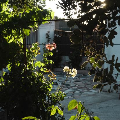 Un patio interior de la colonia al atardecer.
