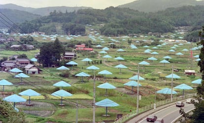 Paraguas gigantes colocados en campos de arroz de Jimba (Japón), en 1991.
