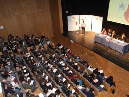 Encuentro de cargos institucionales y org&aacute;nicos del BNG en el auditorio municipal de Rianxo.