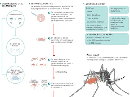 Fuente: Oxitec y elaboración propia.