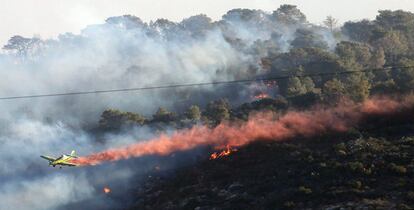 Una avioneta trabaja en la extinción de un incendio forestal registrado cerca de la localidad de Haifa, norte de Israel.