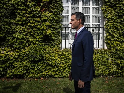 Acting Spanish Prime Minister Pedro Sánchez, pictured on Friday in the gardens at La Moncloa palace.