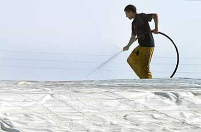 Un inmigrante magrebí trabajando sobre un invernadero en El Ejido (Almería).