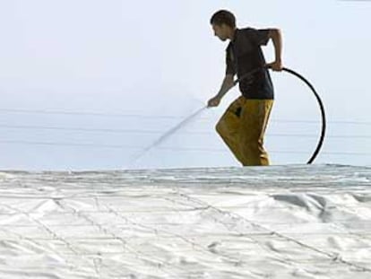 Un inmigrante magrebí trabajando sobre un invernadero en El Ejido (Almería).