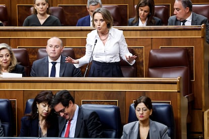 La diputada del Partido Popular, Cuca Gamarra, este miércoles durante su intervención en el pleno del Congreso.