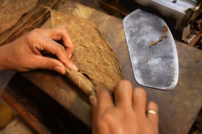 Las hojas que se seleccionan para los Cohibas son añejadas durante dos años en barril.