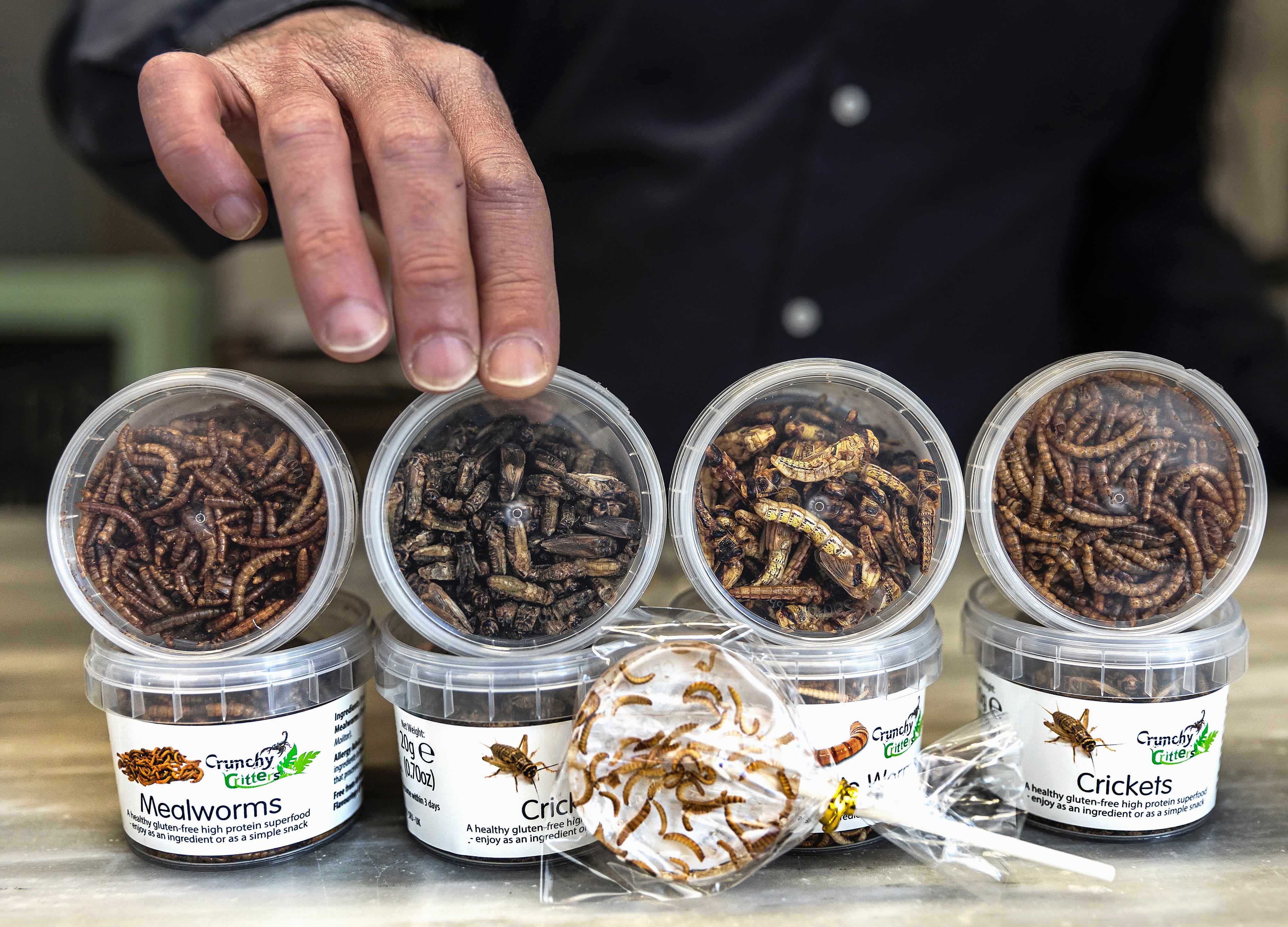 La alimentación y la tecnología