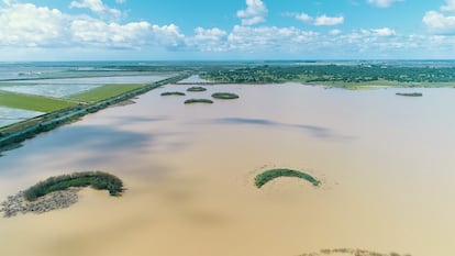 Gracias a los programas de tratamiento y regeneración del agua y balance hídrico, Heineken ya trata el 100% de sus aguas residuales y devuelve al entorno 1.900 millones de litros de agua al año a espacios naturales como el de Doñana (Andalucía).